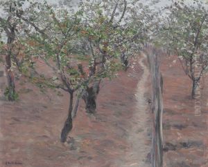 Verger, Arbres En Fleurs, Petit Gennevilliers