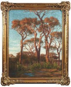 Gerolamo . Summery Landscape With Italian Stone Pines And Gorse by Girolamo Cairati