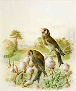 Goldfinches on thistles by Harry Bright
