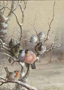 Birds on a Snowy Branch