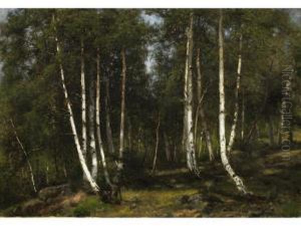 Birkenwald - view 1