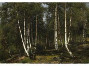 Birkenwald by Arthur Jean Bapt. Calame