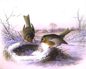 Last Year's Nest by Harry Bright