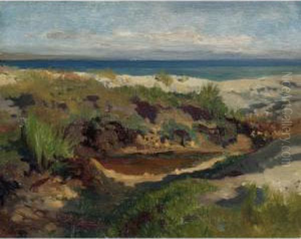 Dune Landscape - view 1