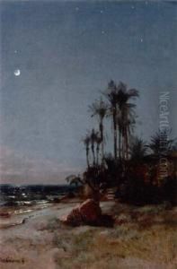 Palmen Bei Bordighera