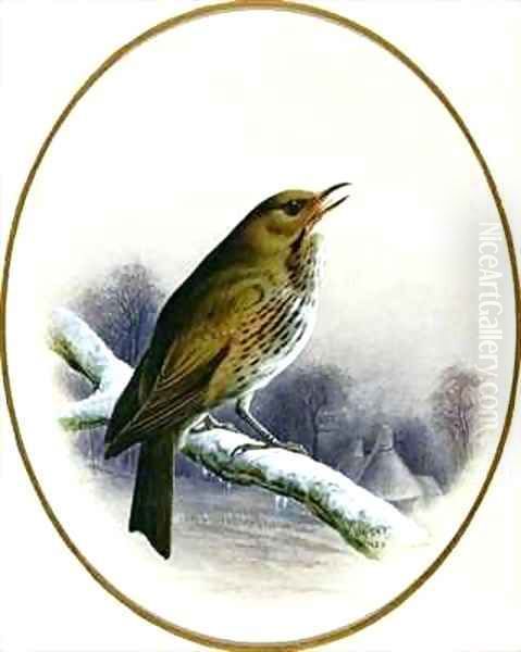 Song Thrush - view 1