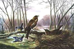 The Herald of Spring by Harry Bright