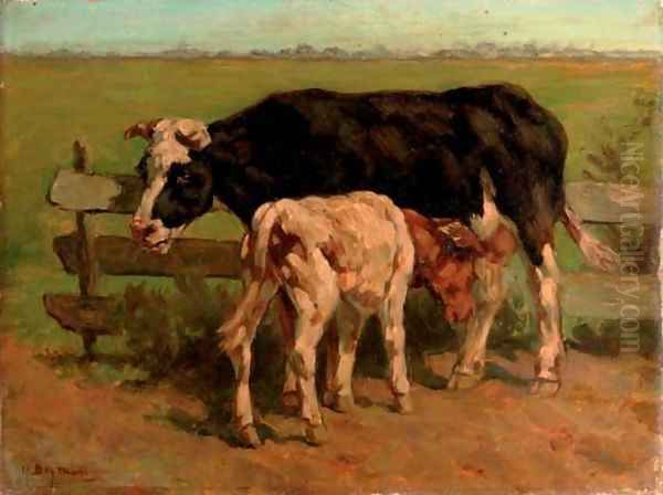 The young calf - view 1