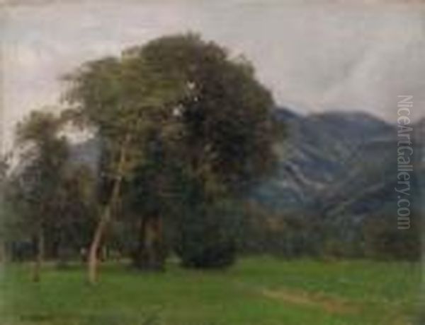 Matti (sopra Bussolino) - view 1