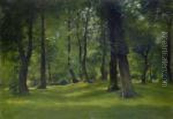 Bosco - view 1