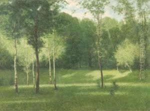 Prime Luci by Marco Calderini