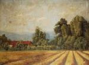 Ambito Di Paesaggio Campestre by Marco Calderini