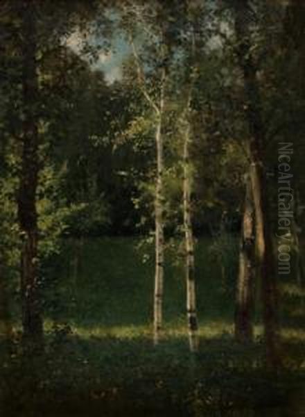 Alberi - view 1