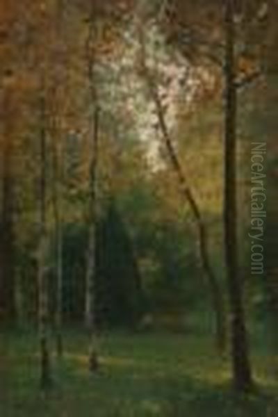 Orto Botanico - view 1
