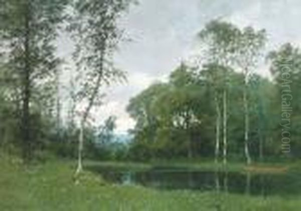 A Quiet Pond In A Forest Clearing - view 1