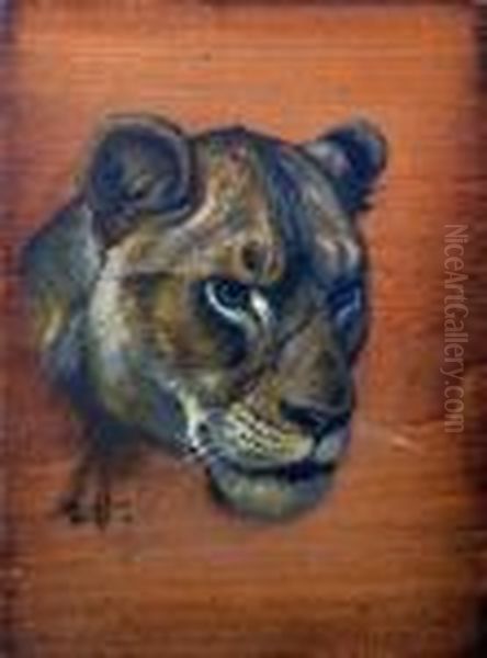 Study Of A Lion's Head - view 1