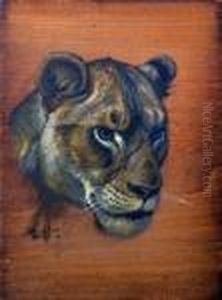 Study Of A Lion's Head by Edmund Caldwell
