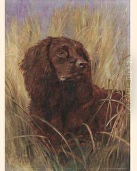 An Irish Waterspaniel - view 1