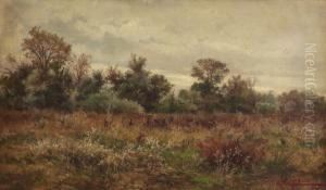Landscape With Brush Landscape With Brush