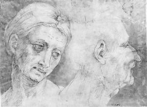 The heads of a woman and a man