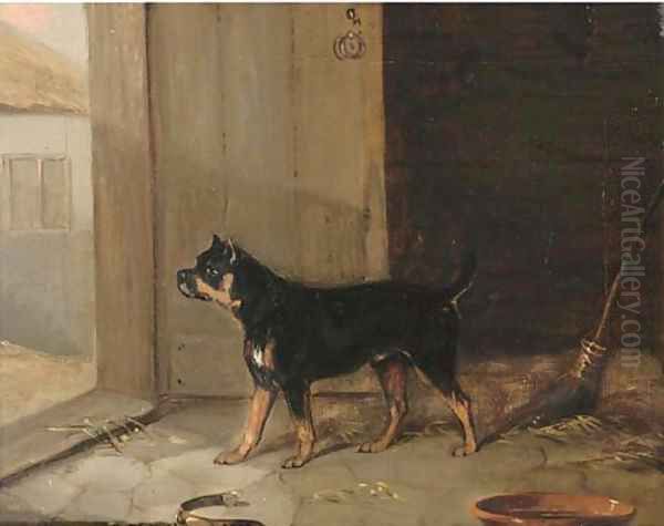 A bullterrier hearing a visitor - view 1