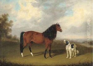 A chestnut horse with a dog in an extensive landscape by Edmund Bristow