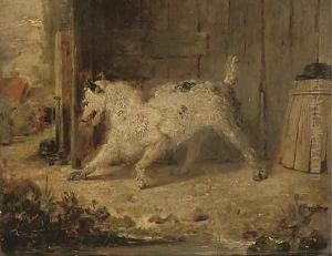 In the backyard by Edmund Bristow