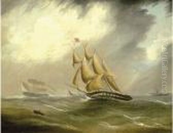 Shipping In Open Sea - view 1