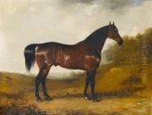 A Chestnut Hunter Standing In An Open Wooded Landscape
