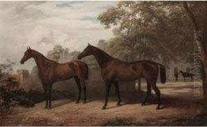 Two Bay Hunters In A Landscape