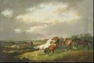 Stallions Fighting In A Extensive Landscape With Cattle And Town In The Distance