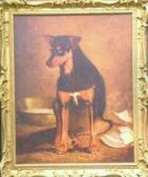 'trim' - A Terrier - view 1