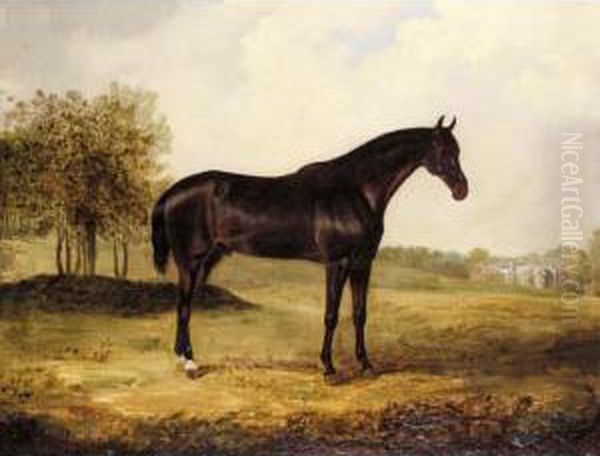 Bay Horse In A Landscape - view 1
