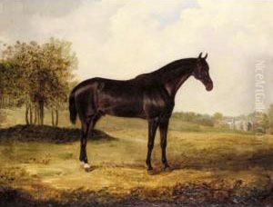 Bay Horse In A Landscape