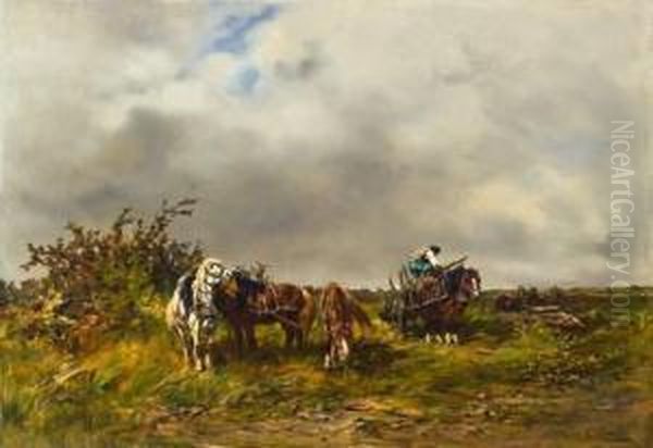 Debardage Du Bois - view 1