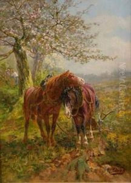 Chevaux De Labour - view 1