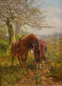 Chevaux De Labour