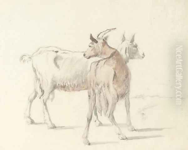 Study of goats - view 1