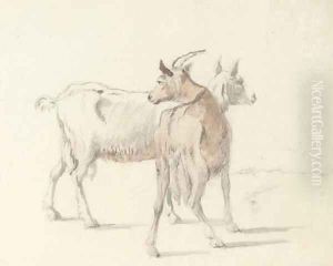 Study of goats by Coplestone Warre Bampfylde