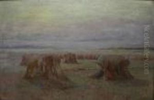 Haystacks by Duncan Cameron