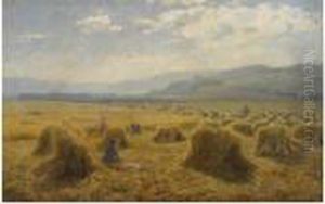 The Haymakers by Duncan Cameron