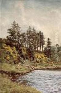 Broomie Braes, Banks Of The Lyon by Duncan Cameron