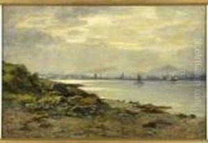 Dundee From Above Tayport by Duncan Cameron