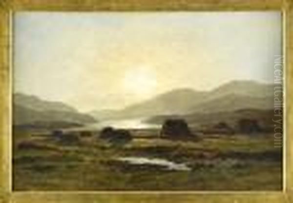 Peat Moss, Loch Vennacher - view 1