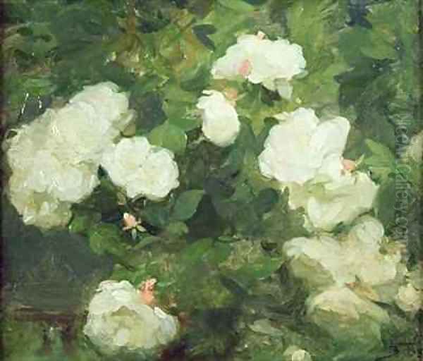 White Roses - view 1