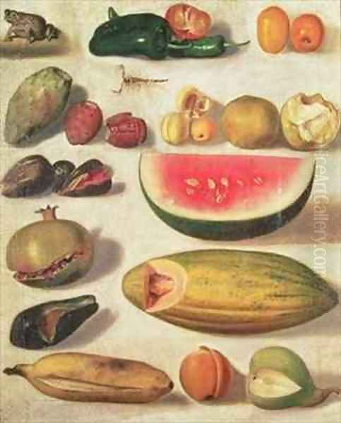 Still Life with Fruit and Toad - view 1