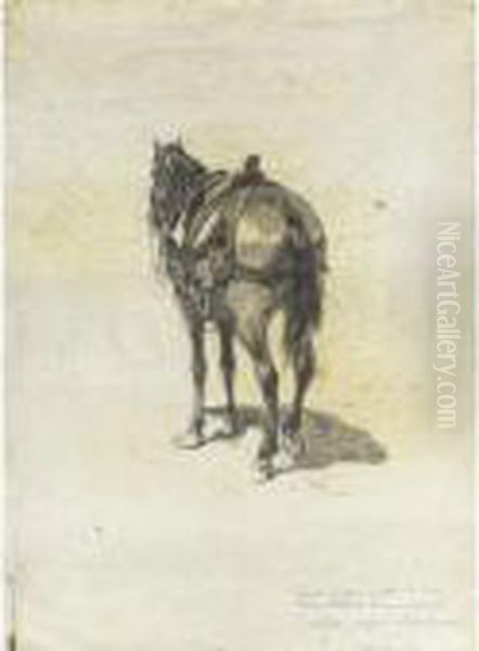 Cavallo Sellato - view 1