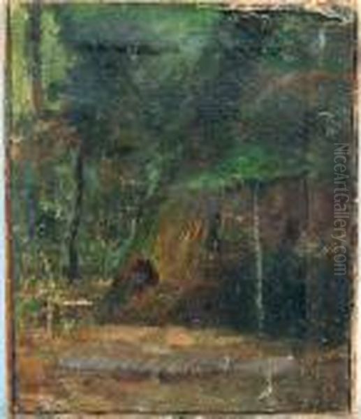 Bosco - view 1