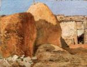 Paesaggio Africano