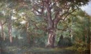 Alberi